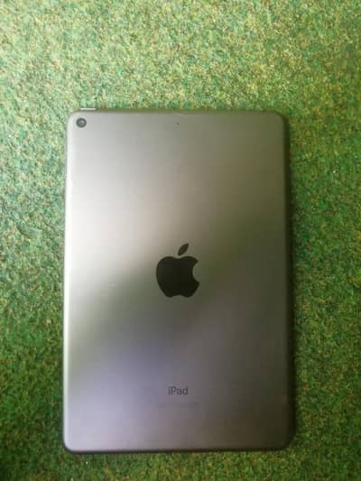 IPAD MINI 5  10by10 BEAST GAME PLAY I PAD MINI 256. GB. all ok
