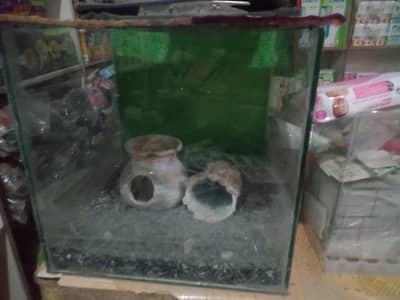 aquarium