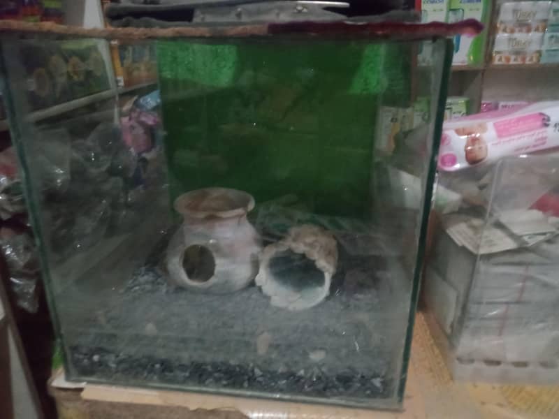aquarium 0