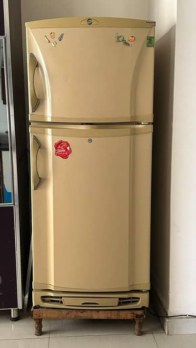 PEL Single Door Refrigerator – Spacious and Well-Maintained.