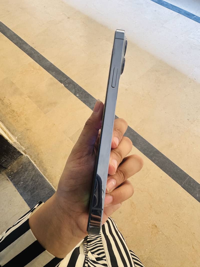 Apple iPhone 13 Pro Max 6