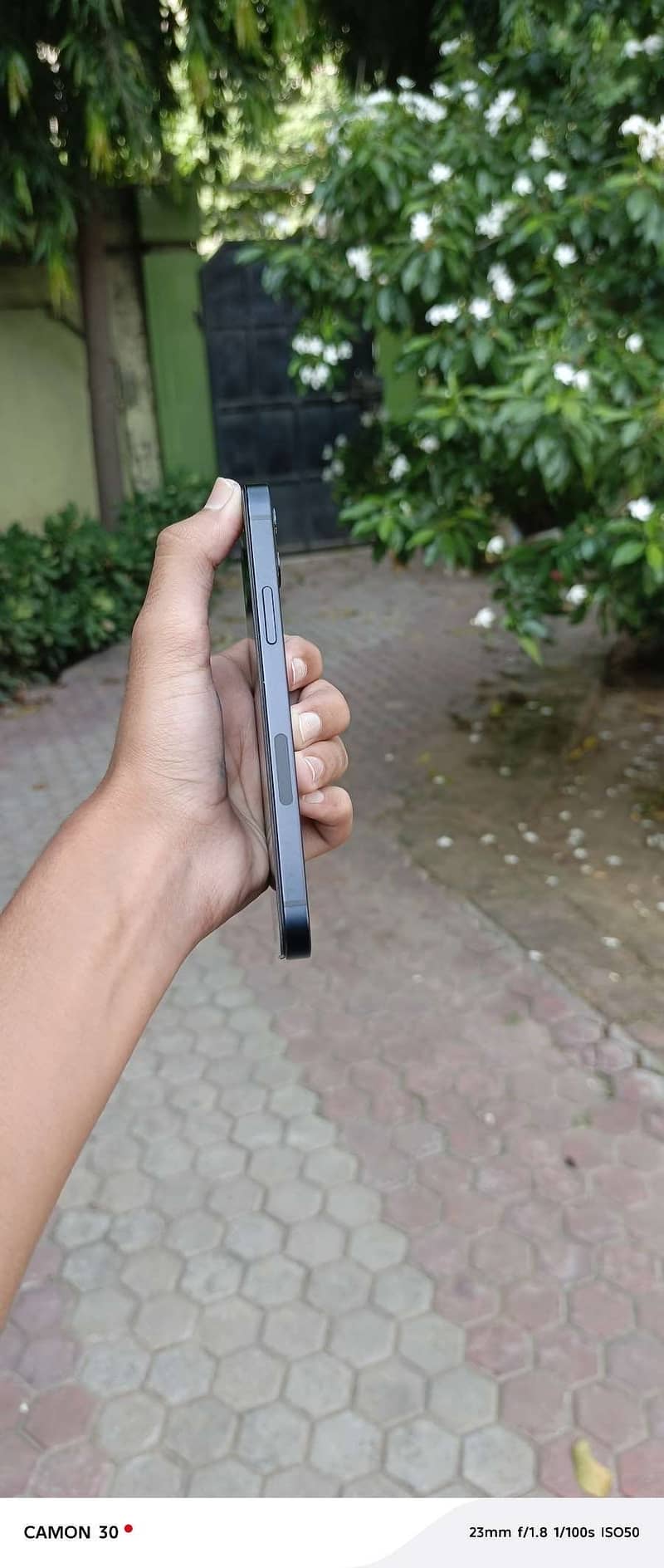 Apple iPhone 12 5
