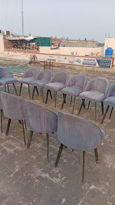 Restaurant Chair For sale