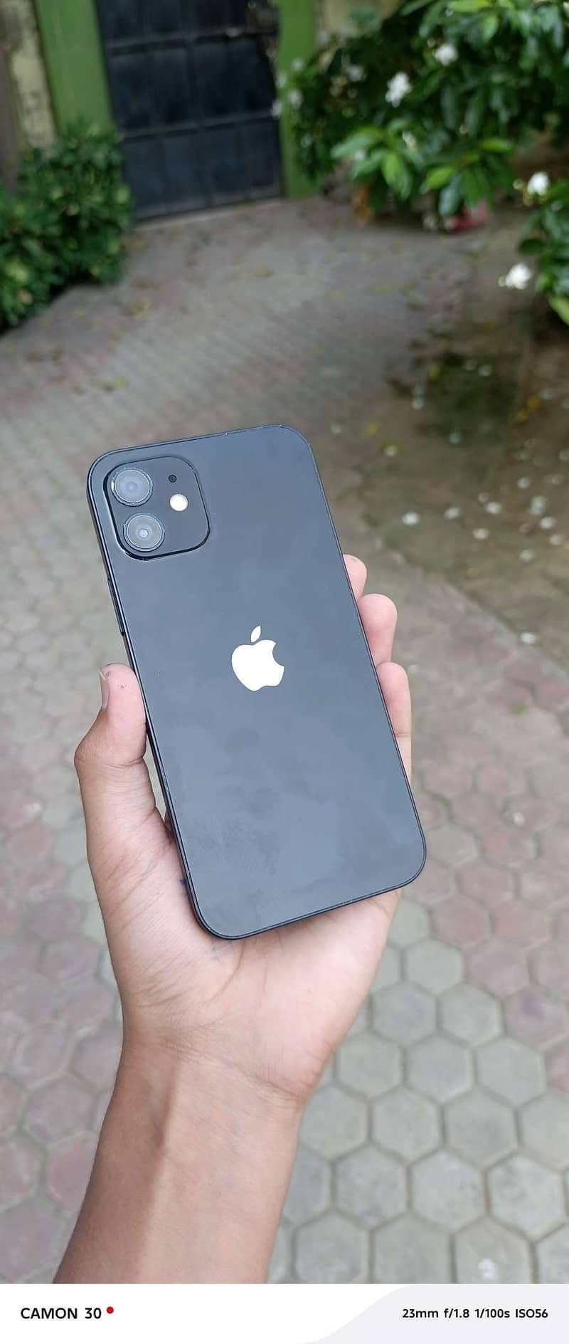 Apple iPhone 12 1