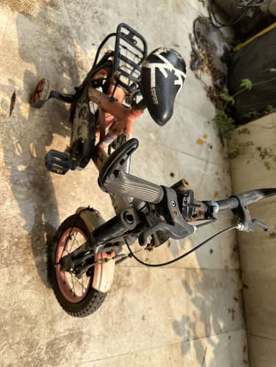 Small bicycle