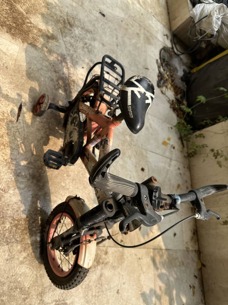 Small bicycle 2