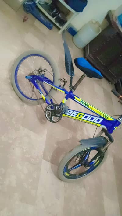 Sports Mountain Bike 20” – Blue & Green – Excellent Condition