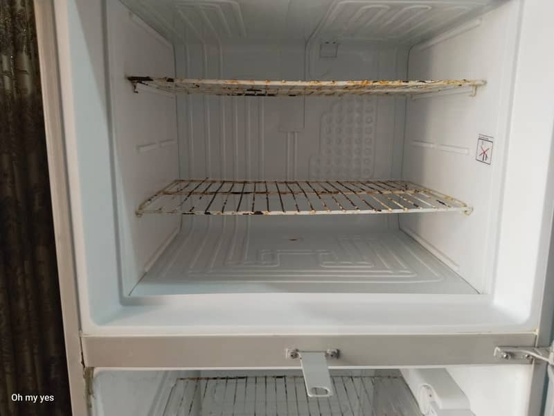 Fridge, 2