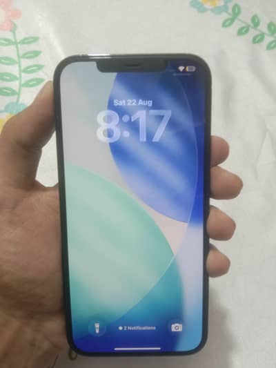 Apple iPhone 12 Pro Max