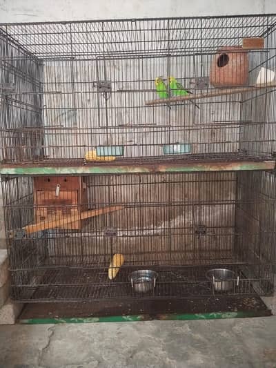 cage for sale