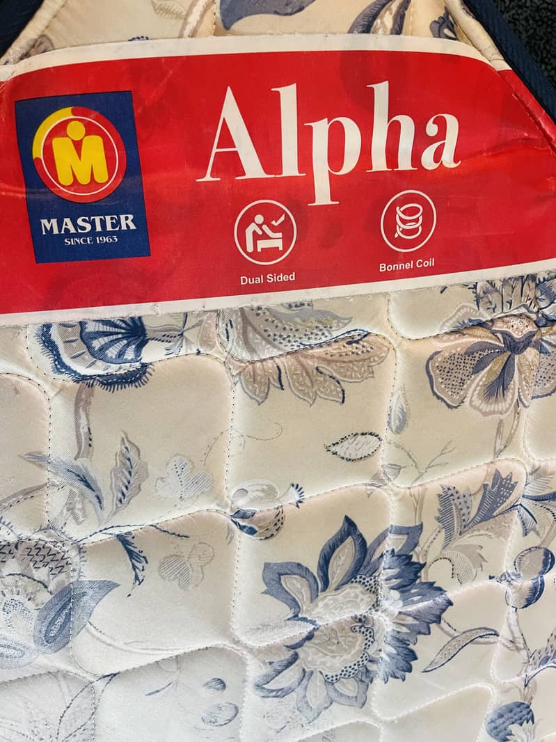 Master Molty Foam (Spring) 0