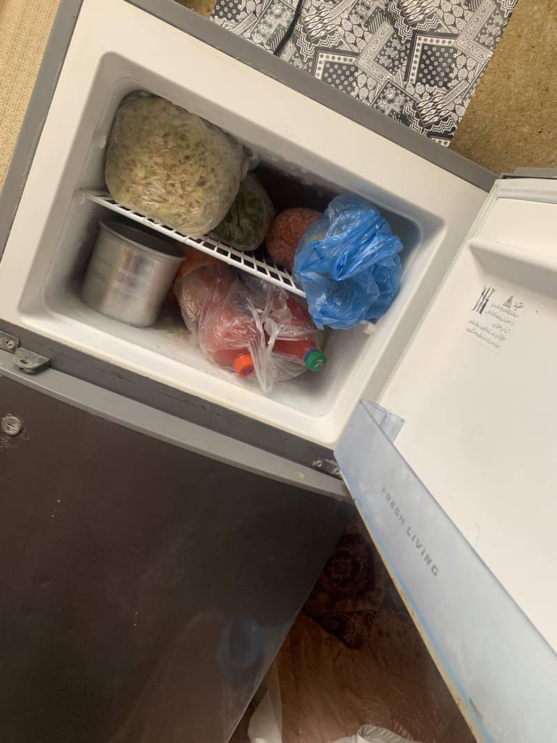 big fridge 3
