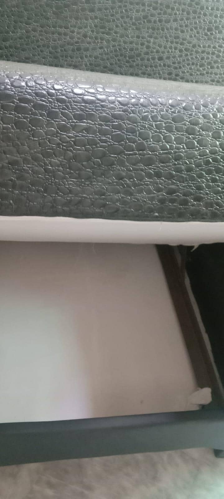 Sofa cum bed 4