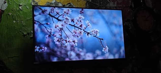 NOBEL LED 32 inch for sell android