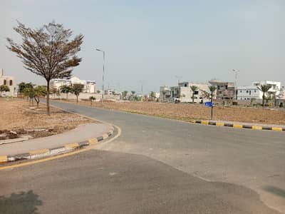 On Excellent Location Residential Plot Of 1237 Square Feet For sale In Royal Palm City - Block D