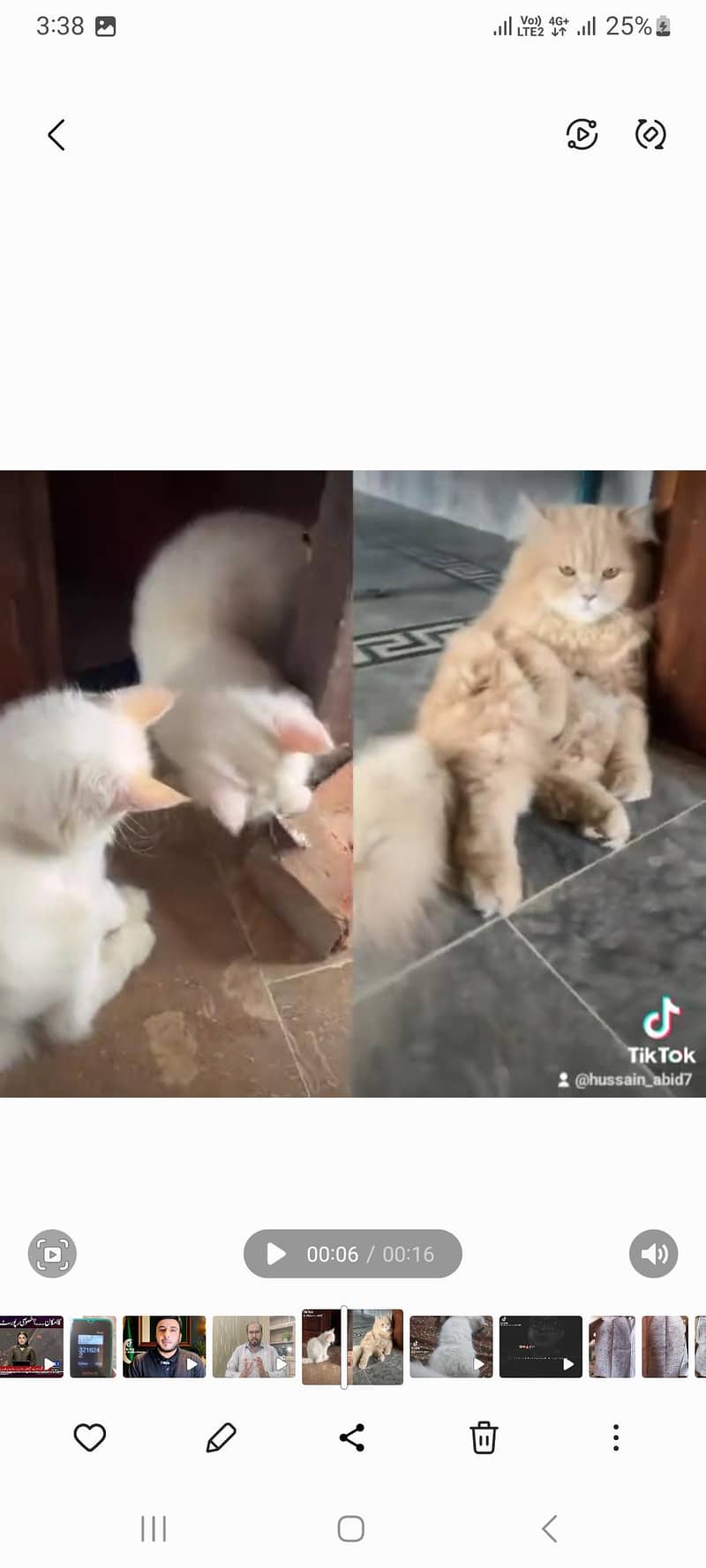 2 cats 0