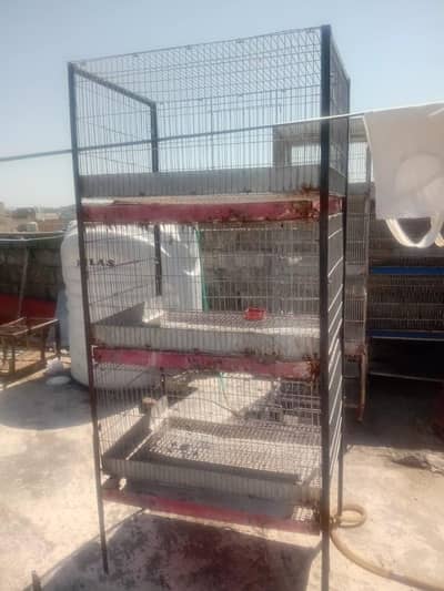 Rabbit cage