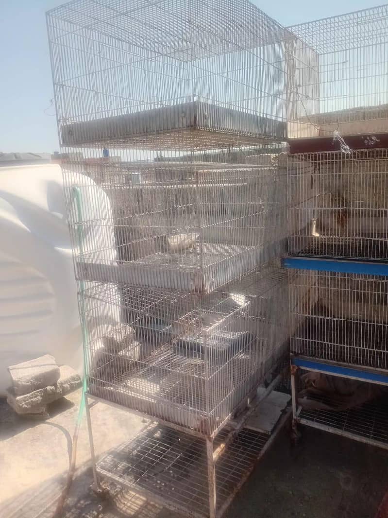 Rabbit cage 1