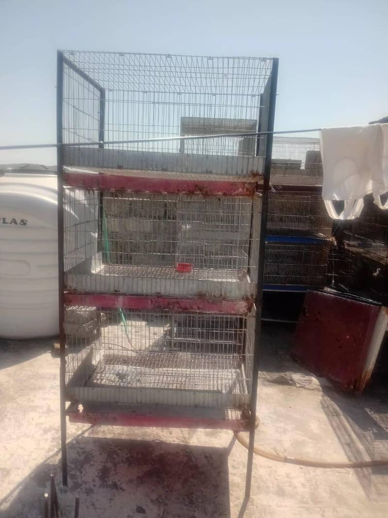 Rabbit cage 2