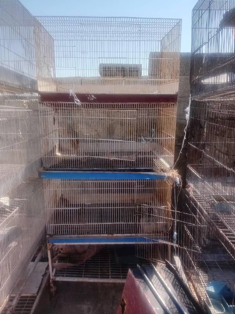 Rabbit cage 3
