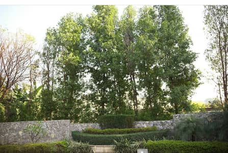 1 ACRE IDEALY LOCATED PLOT