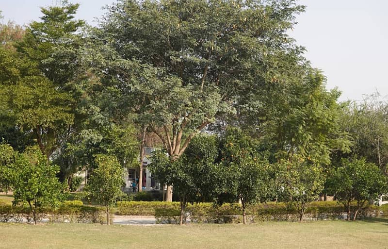 1 ACRE IDEALY LOCATED PLOT 4