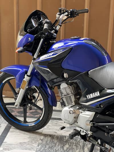 Yamaha Ybr 2023 Antique