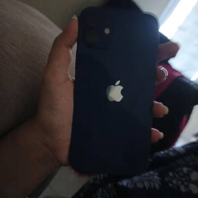 Apple iPhone 12