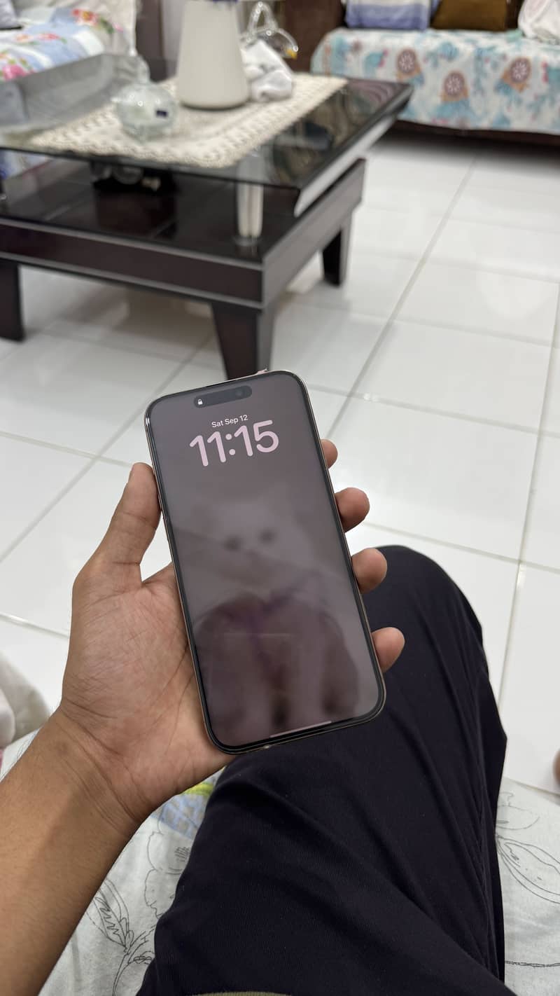 Apple iPhone 16 Pro Max 3