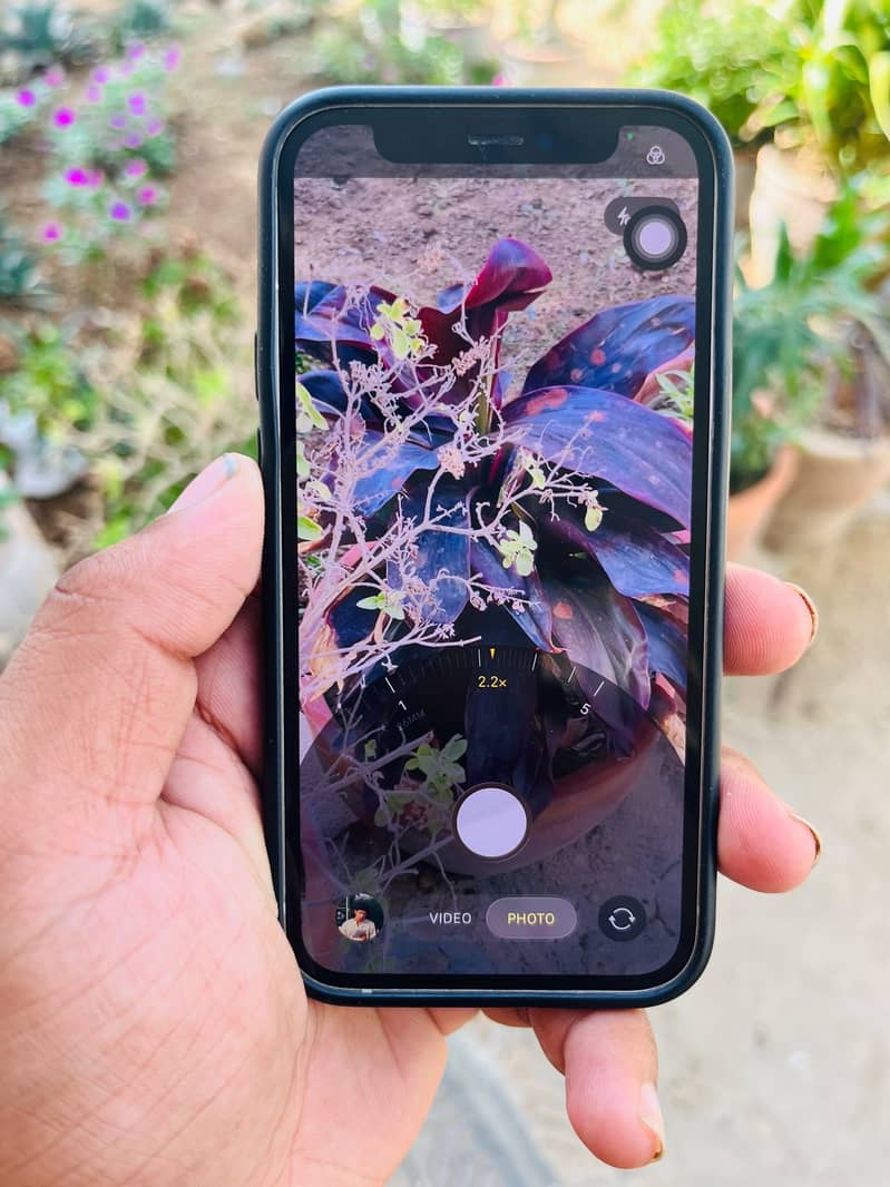 IPhone 12 mini 14