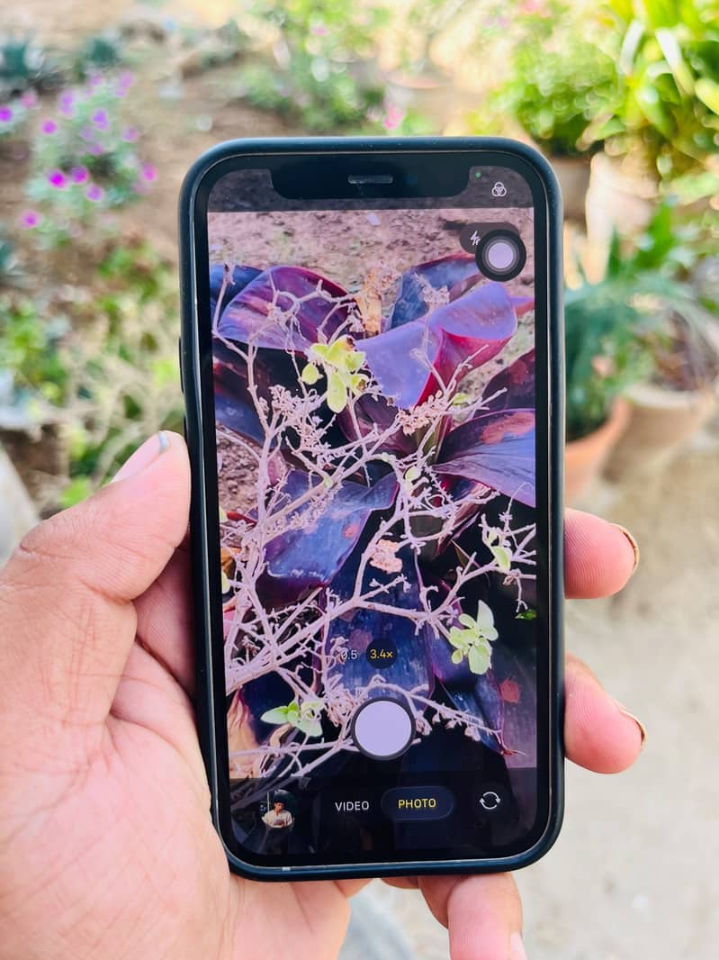 IPhone 12 mini 15