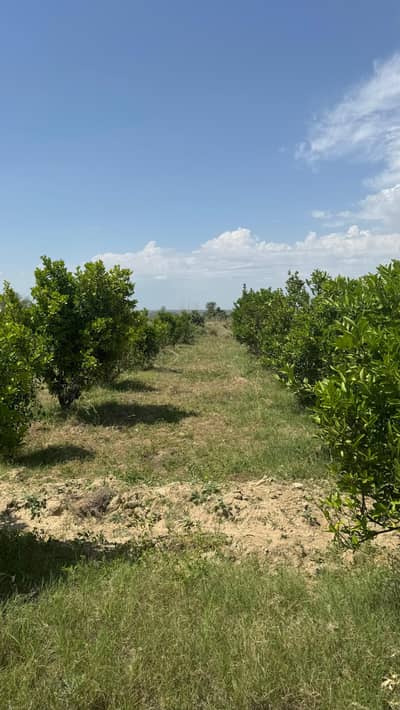 580 Kanal Agricultural Land