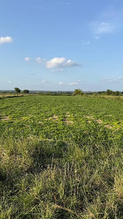 12 Kanal Farm Land In Chakwal