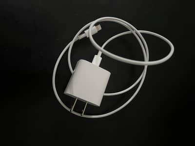 iPhone Original Charger
