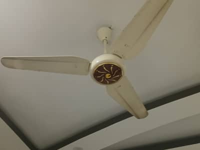 SK FAN 56 Inch For Sale