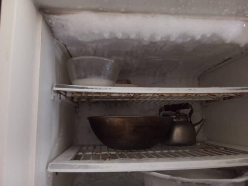 fridge 0