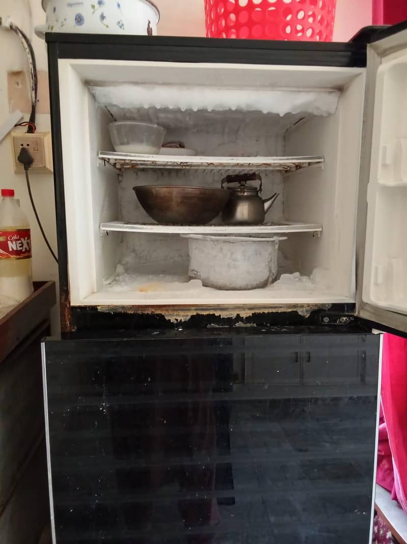fridge 1