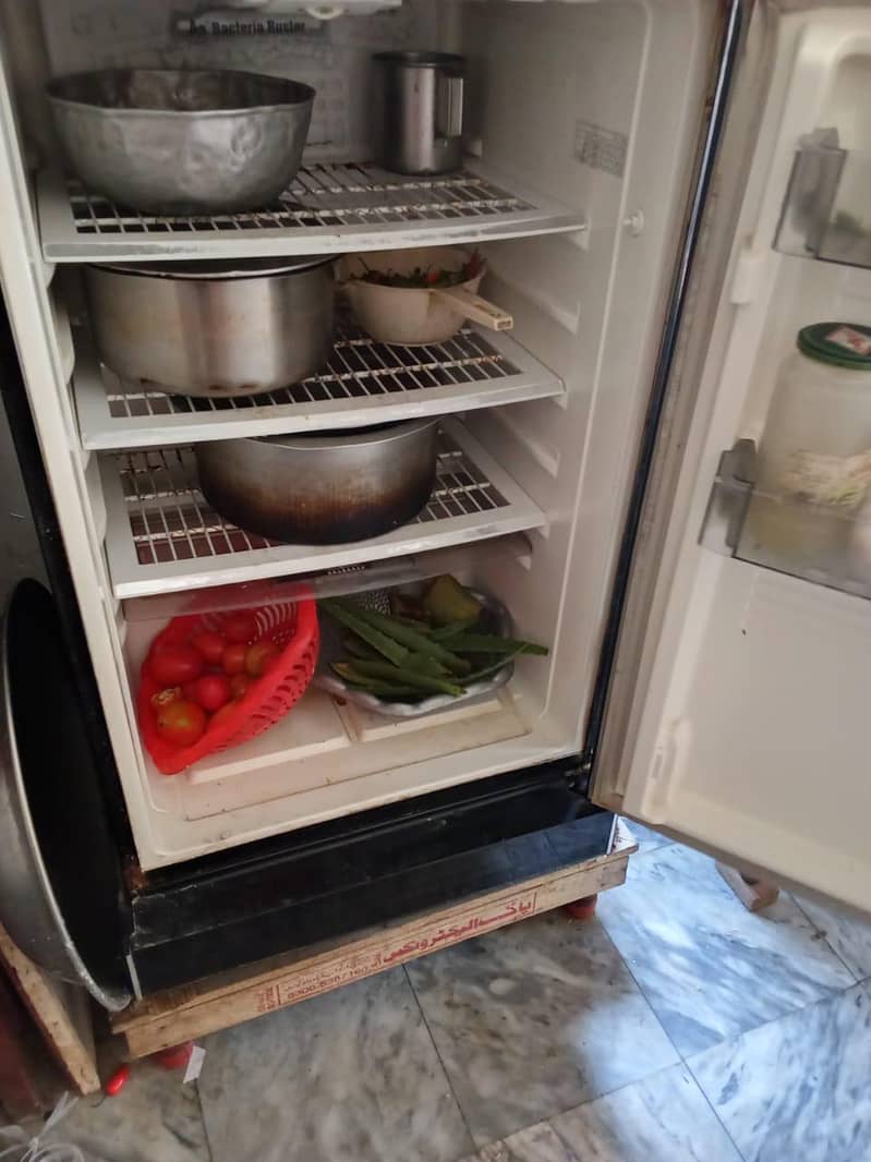 fridge 4