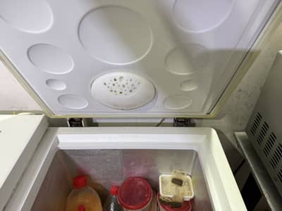 Haier HDF-325H/B/R Double Door Deep Freezer - 325 Litres