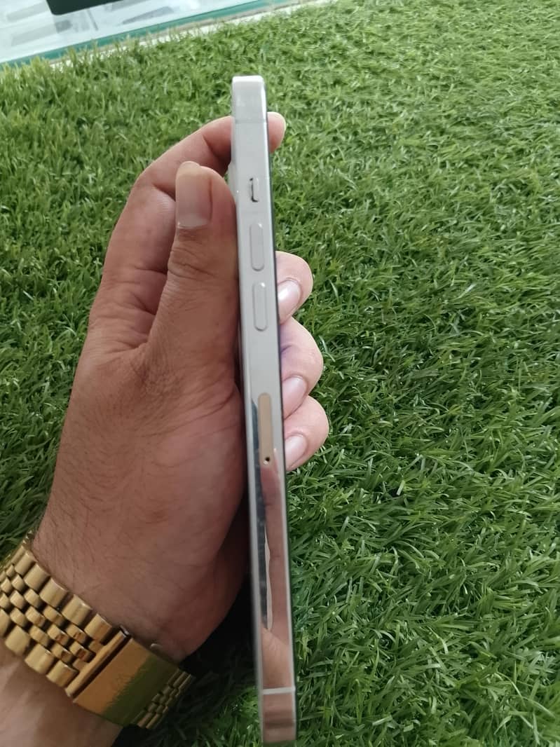 iPhone 12 Pro Max 1
