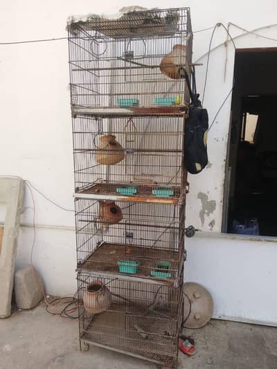 FOLDING CAGE FOR SALE