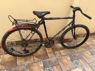 Sonic cycle