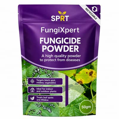 SPRT FungiXpert Fungicide Powder 50g | Plant Fungus & Mildew Control