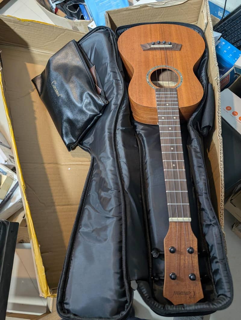 Guirar large size four strings 3