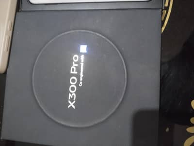 Vivo X300 Pro