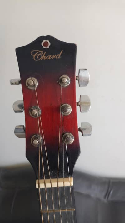 chard acoustic guitar