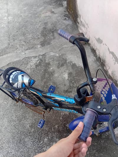 Bicycle ( used )