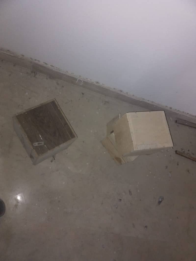 Breeding box 1