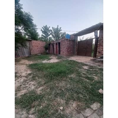 BEST OPERTUINTY 6.2 KANAL DAIRY PLUS FARMHOUSE FOR SALE FACING CANAL BEST FOR DAIRY PLUS POULTRY FARM REAL PICTURE MORE DETAILS CONTACT ME