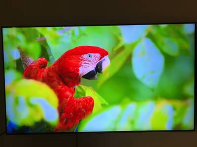 Samsung Smart LED AU7000 55' TV